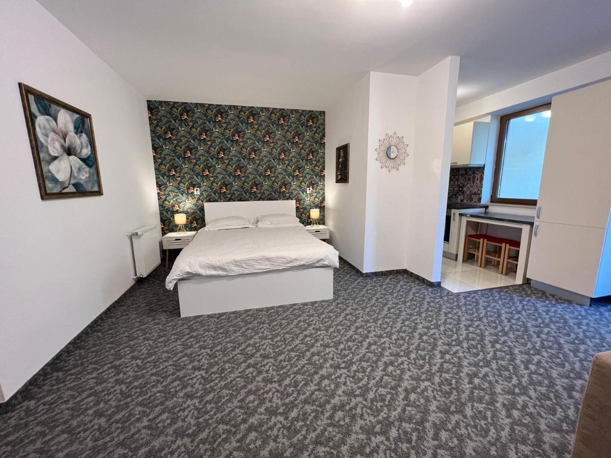 Coroni Studio With Jacuzzi Μπρασόβ Εξωτερικό φωτογραφία